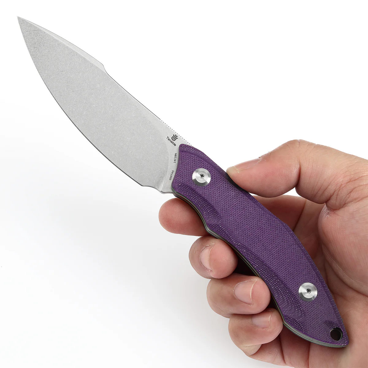 Tenable Luccio Fixed Blade Knife with Purple G10 Handle (3.81" Stonewashed 14C28N Blade) - Bolt Vision Design - G007A5 - Image 6